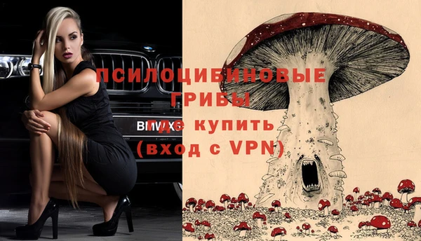 спиды Костерёво