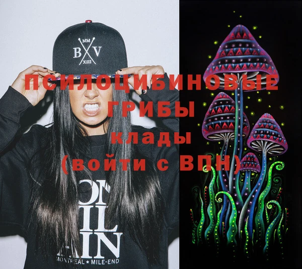 спиды Коряжма